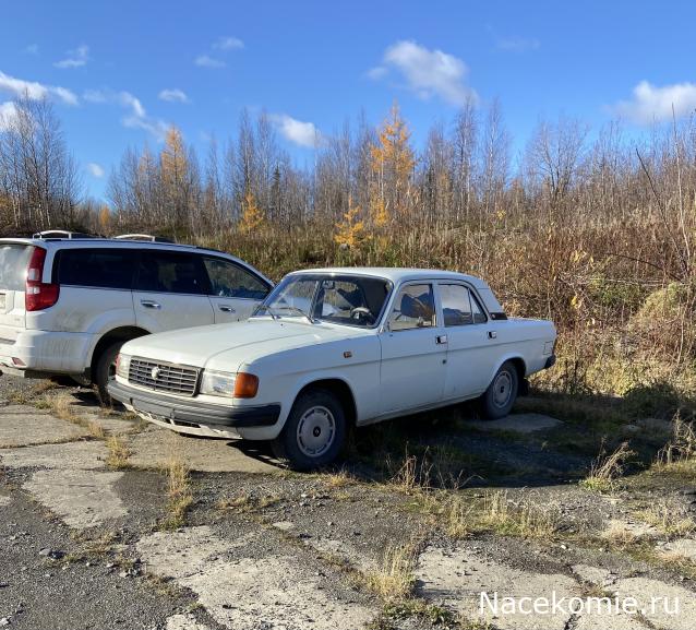 Автолегенды вживую