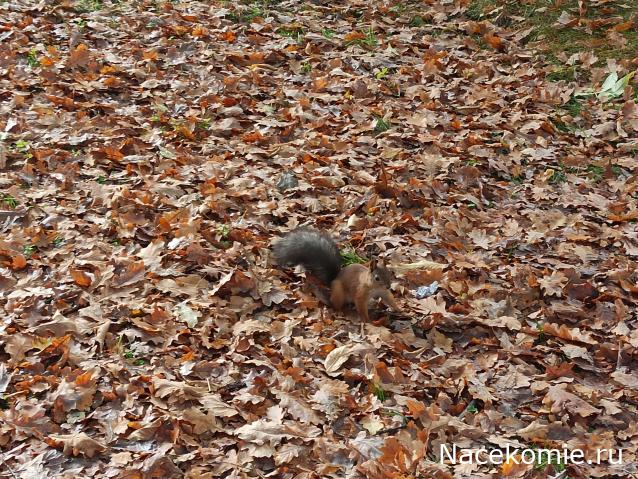 Мой любимый город или дорогие сердцу места
