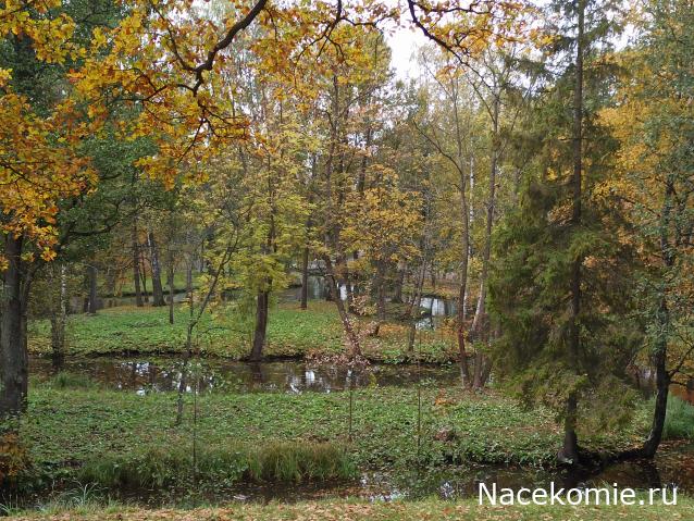 Мой любимый город или дорогие сердцу места