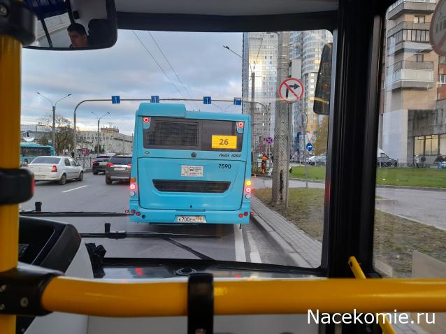 Околоавтобусная болталка