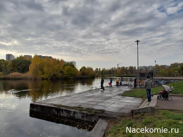 Тракторная болталка