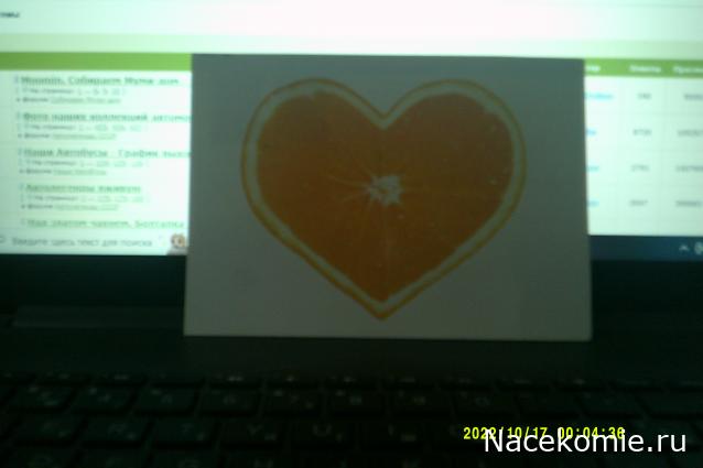 Eva1949 - Дом мечты-души моей воспоминания; 1Abrikoska - Мой гостеприимный дом