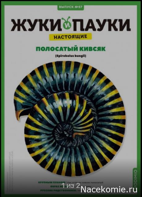 Жуки и Пауки - График выхода и обсуждение