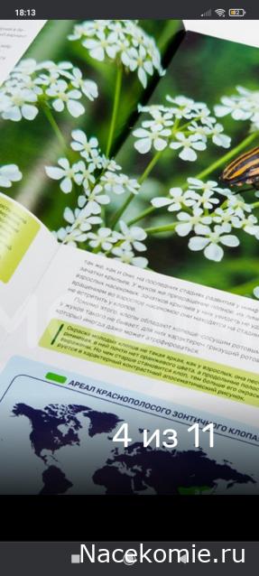 Жуки и Пауки - График выхода и обсуждение