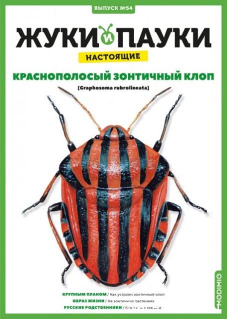 Жуки и Пауки №54 - Краснополосый зонтичный клоп