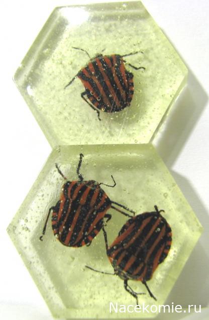 Жуки и Пауки - График выхода и обсуждение