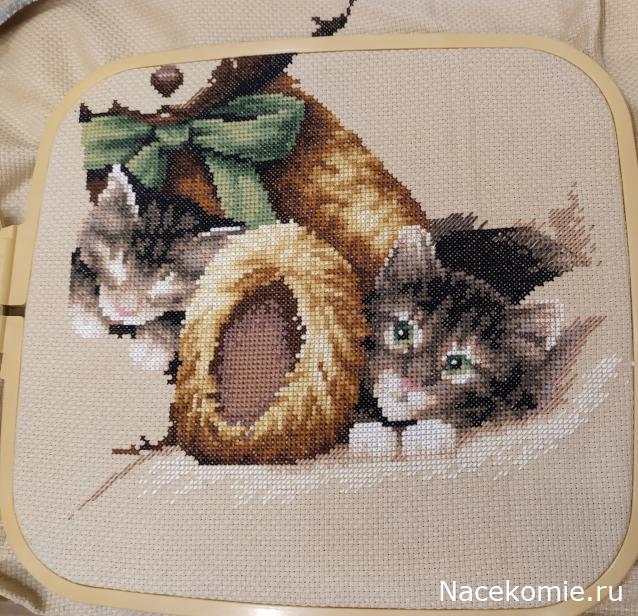 100 крестиков!