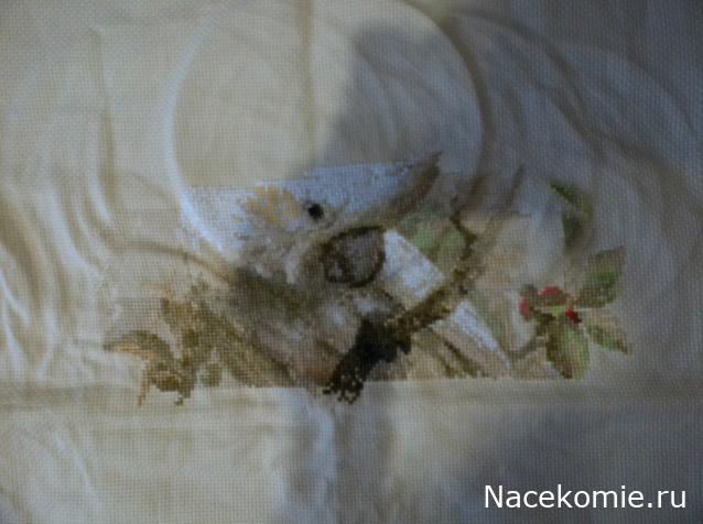 100 крестиков!