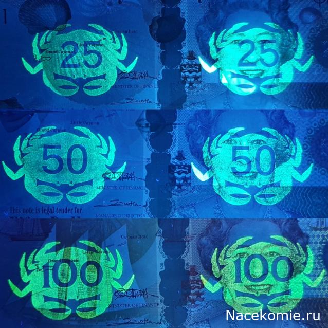 Коллекция alexenamel