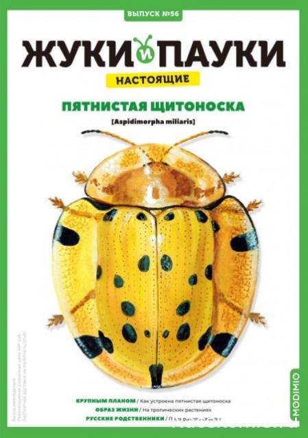 Жуки и Пауки №56 - Пятнистая щитоноска