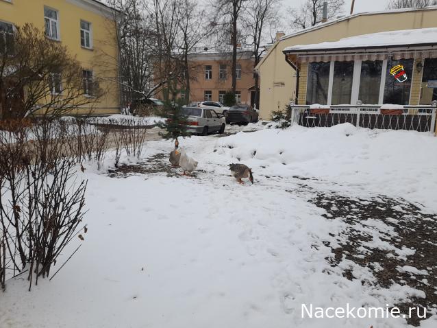 "Живой уголок"