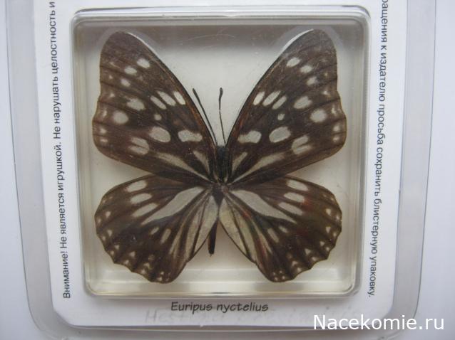 Коллекция Winnetoo