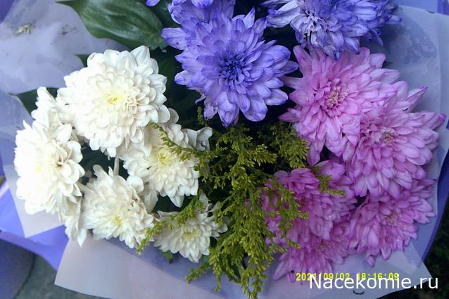 Праздник каждый день - поздравлялка Авторазделов