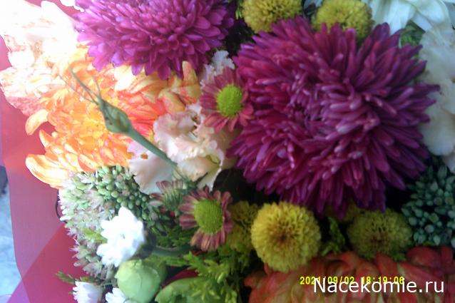 olga63- не знаю что получится