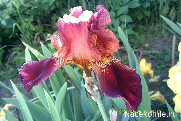 Праздник каждый день - поздравлялка Авторазделов