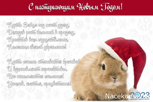 Праздник каждый день - поздравлялка Авторазделов