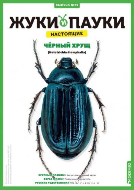 Жуки и Пауки №59 - Чёрный хрущ