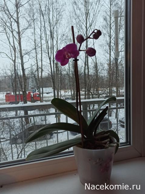 "Живой уголок"