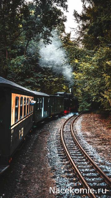 Праздник каждый день - поздравлялка Авторазделов
