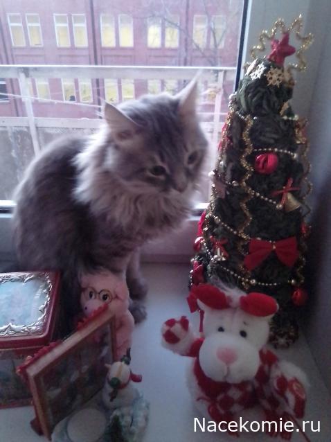 "Живой уголок"