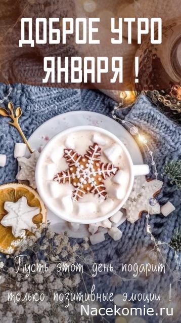 Liana65-Snegana - Мой будущий дом и его обитатели.