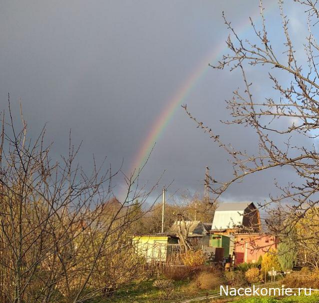 "Живой уголок"