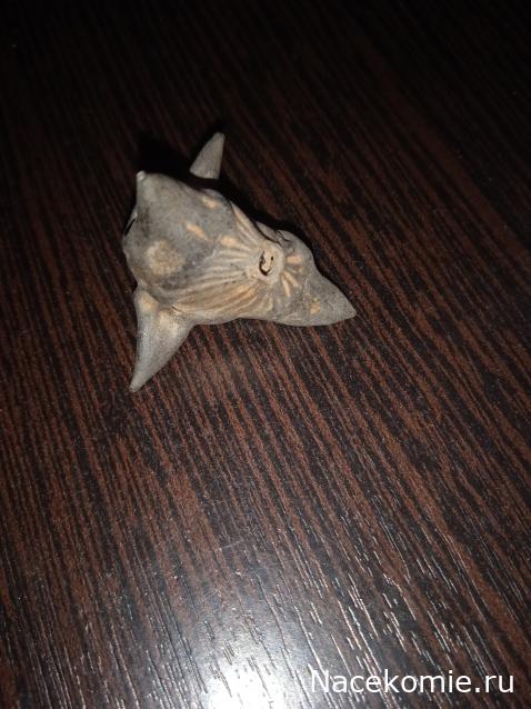 Помощь в определении насекомых