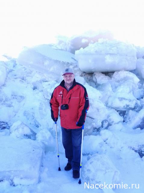 "Живой уголок"