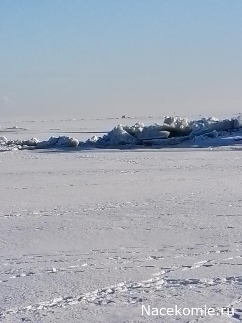 "Живой уголок"