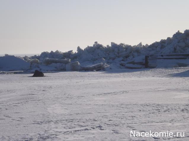 "Живой уголок"