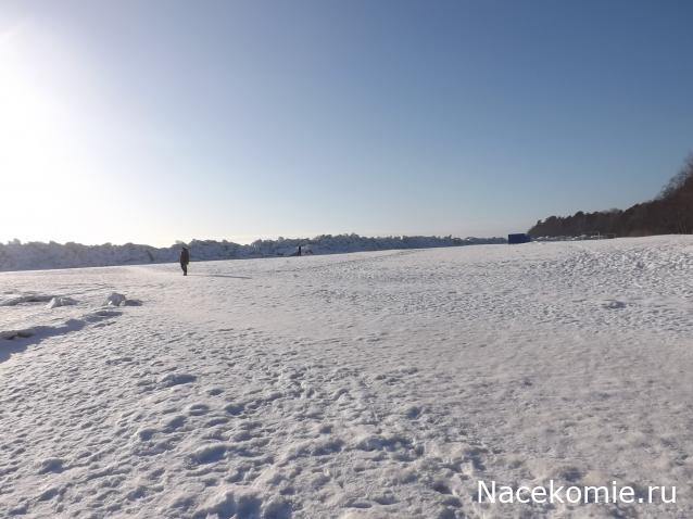 "Живой уголок"