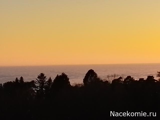 "Живой уголок"