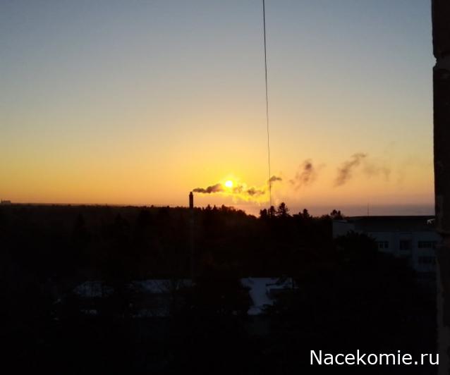 "Живой уголок"