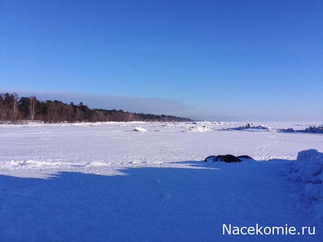 "Живой уголок"