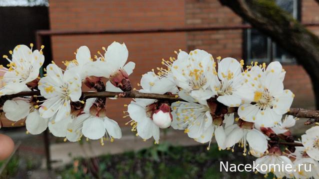 "Живой уголок"