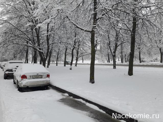 "Живой уголок"