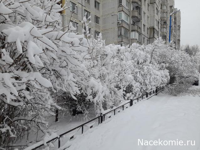 "Живой уголок"