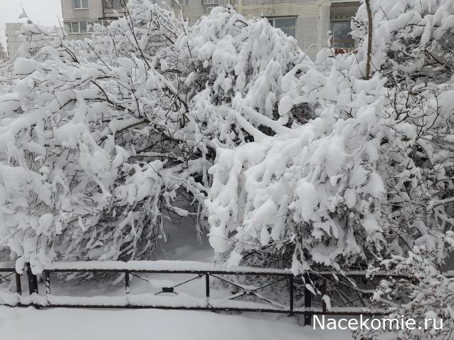 "Живой уголок"