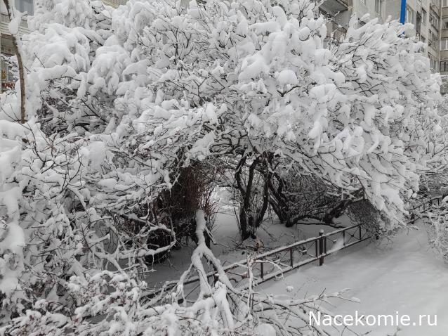 "Живой уголок"