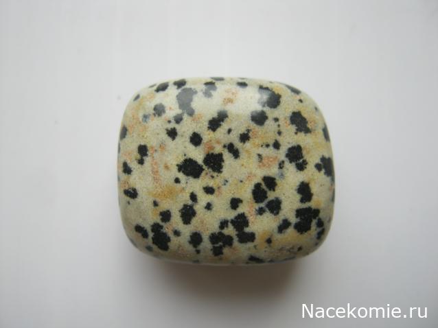 Камни и Минералы №18 - Далматиновая яшма