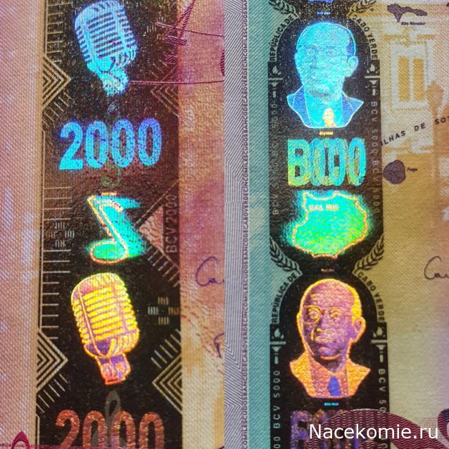 Коллекция alexenamel