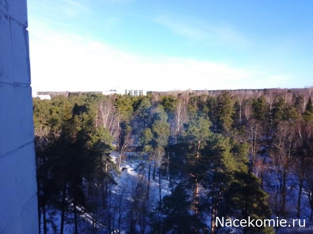 "Живой уголок"