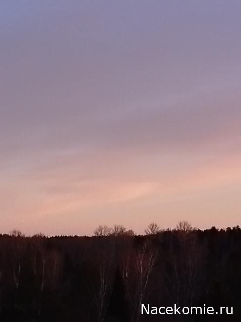 "Живой уголок"