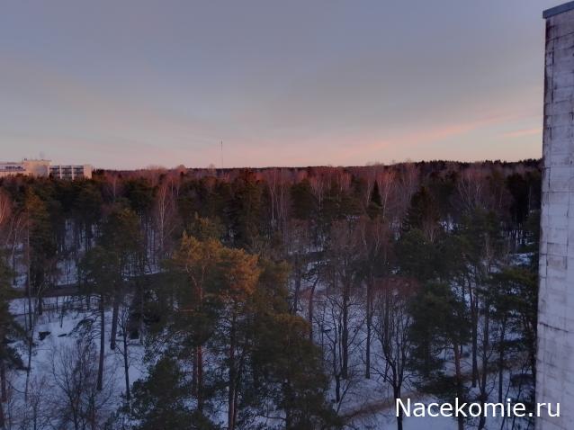 "Живой уголок"