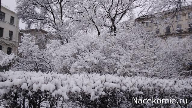 "Живой уголок"