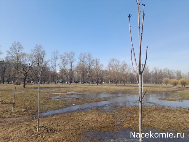 "Живой уголок"