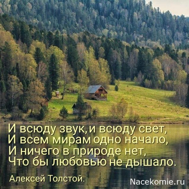 Liana65-Snegana - Мой будущий дом и его обитатели.