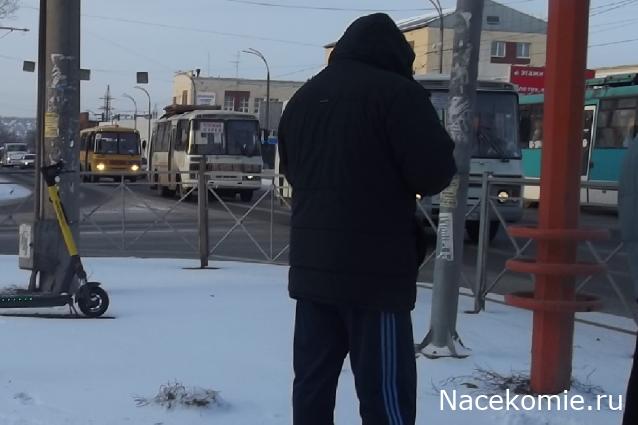 Автолегенды вживую