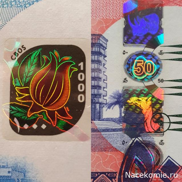 Коллекция alexenamel