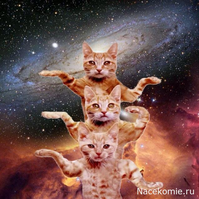 Праздник каждый день - поздравлялка Авторазделов